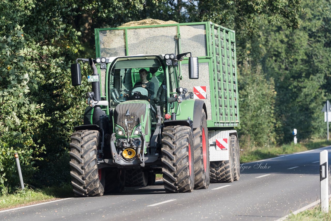 Bild 167 - Maisernte